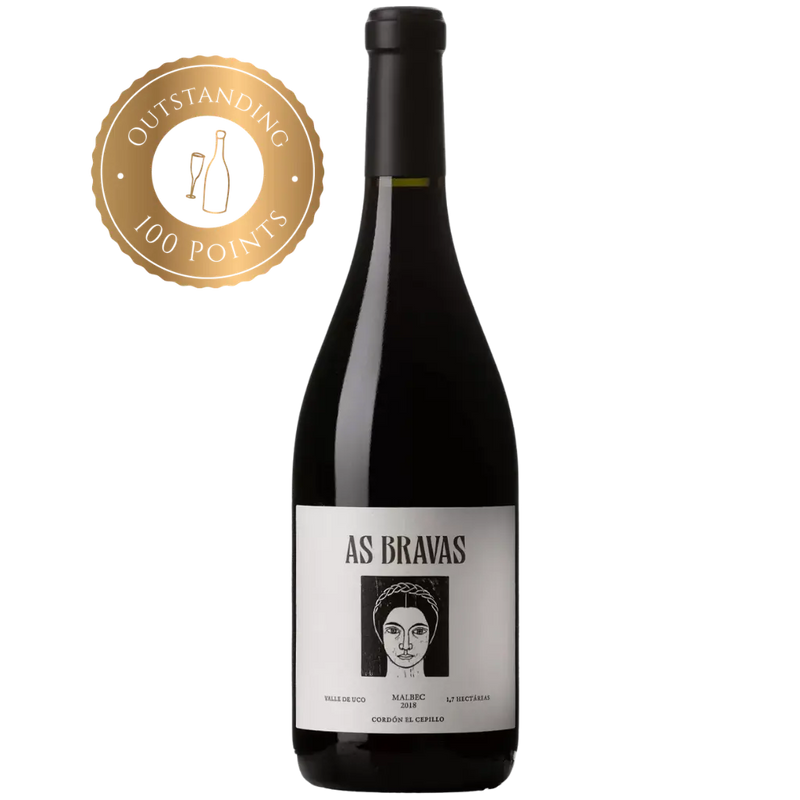2018 ‘As Bravas’ Malbec, Cordón El Cepillo, El Enemigo