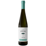 2024 Grillo 'Vitese', Colomba Bianca