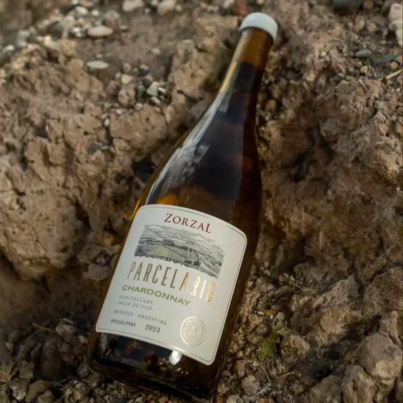 2024 Parcelario Chardonnay, Zorzal Your Store