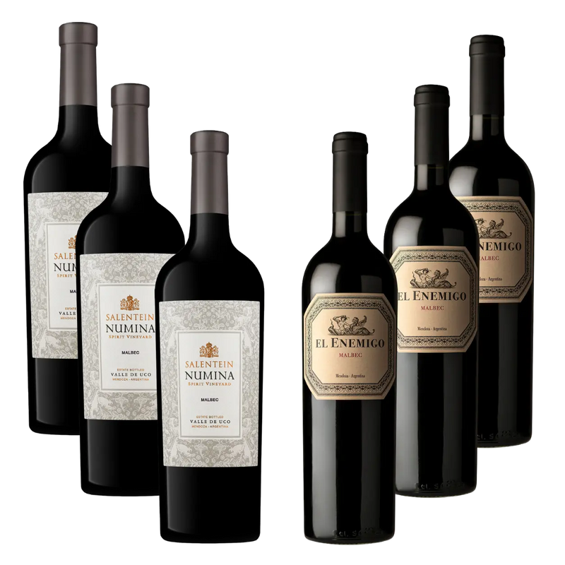Malbec Standouts Mixed Case | 6 Bottles