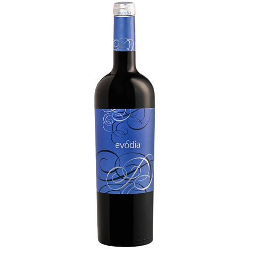 2021 Garnacha 'Evodia', Bodegas San Alejandro Your Store