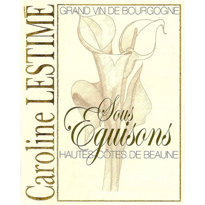 2020 Bourgogne Hautes Côtes de Beaune`Sous Eguisons`, Domaine Jean-Noël Gagnard Your Store