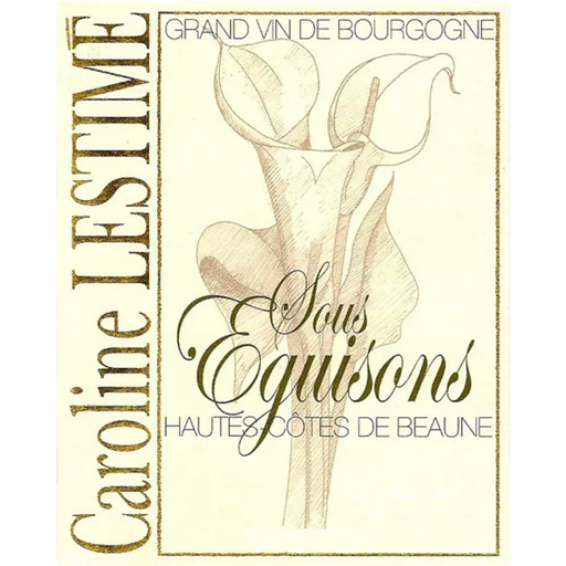 2020 Bourgogne Hautes Côtes de Beaune`Sous Eguisons`, Domaine Jean-Noël Gagnard Your Store