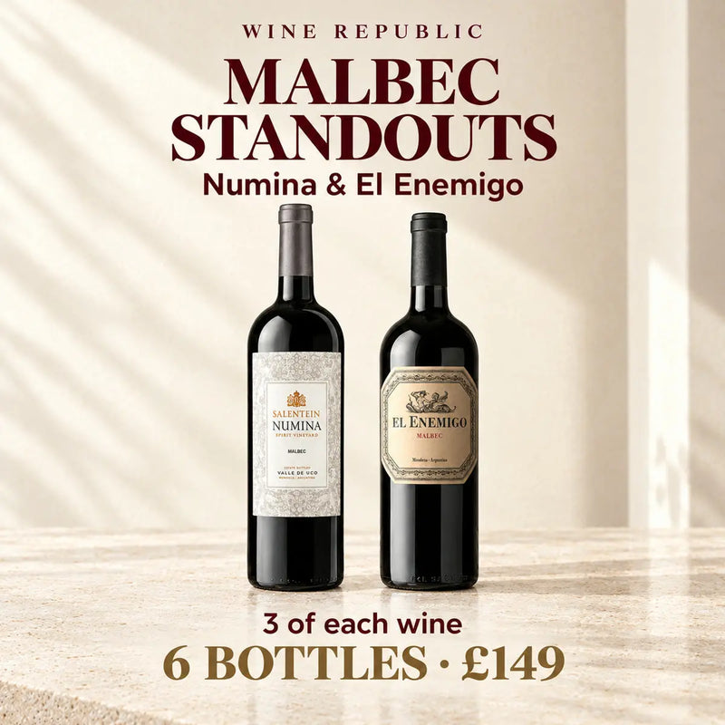 Malbec Standouts Mixed Case | 6 Bottles