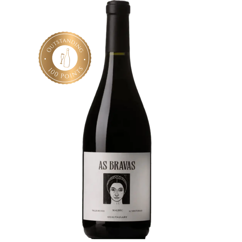 2018 ‘As Bravas’ Gualtallary Malbec, El Enemigo
