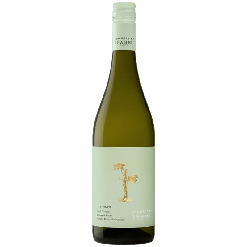 2024 'Like Vines' Single Vineyard Sauvignon Blanc by Isabel Wine Republic - Wine Merchant