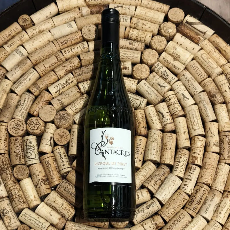 2025 Picpoul de Pinet, Domaine de Cantagrils