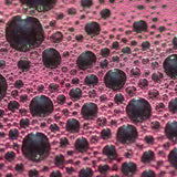 Thursday 13th November - South Africa Wine Tasting